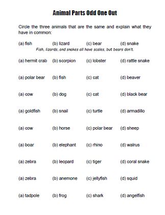 Animal Body Part Odd.